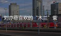 刘亦菲喜欢的“木兰”紫，你种草了吗？